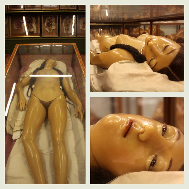 La Specola, The Natural History Museum of the University of Florence  (16).jpg
